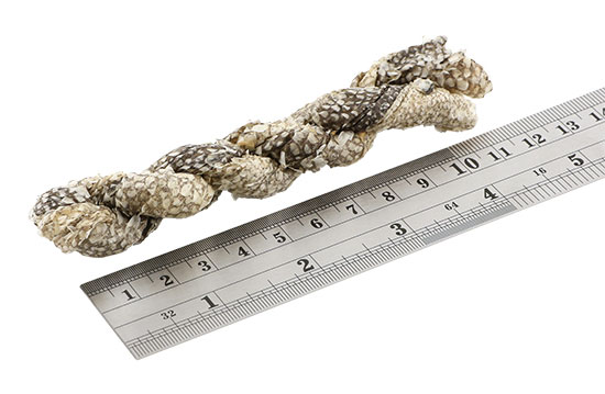 Fish4Dogs Dental Sea Jerky Fish Twists – przysmaki rybne 100g