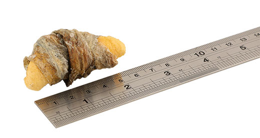 Fish4Dogs Jabłko i Ryba Wraps – przysmaki rybne 90g