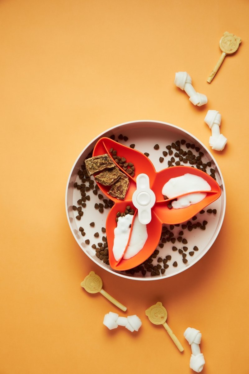 PDH SPIN FLOWER Orange - Interaktywna Miska dla psa